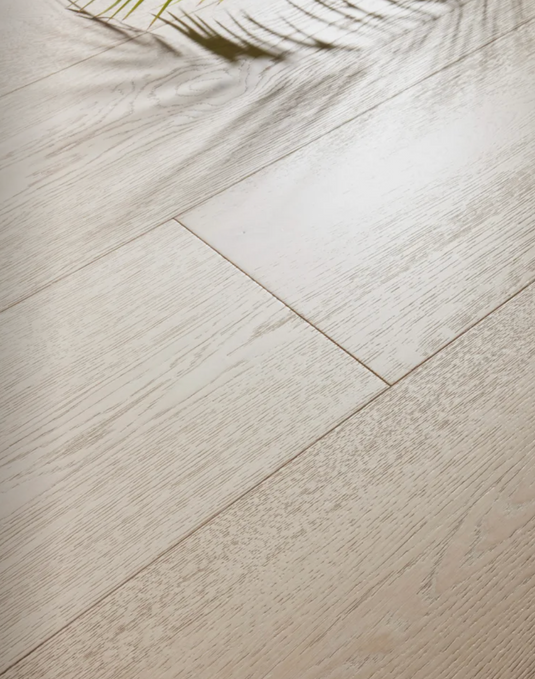 Committed To The Environment